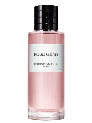 dior gipsy 2|dior rose gipsy perfume.